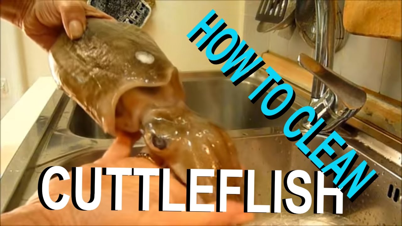 CUTTLEFISH. HOW TO CLEAN THE CUTTLEFISH EASY AND FAST