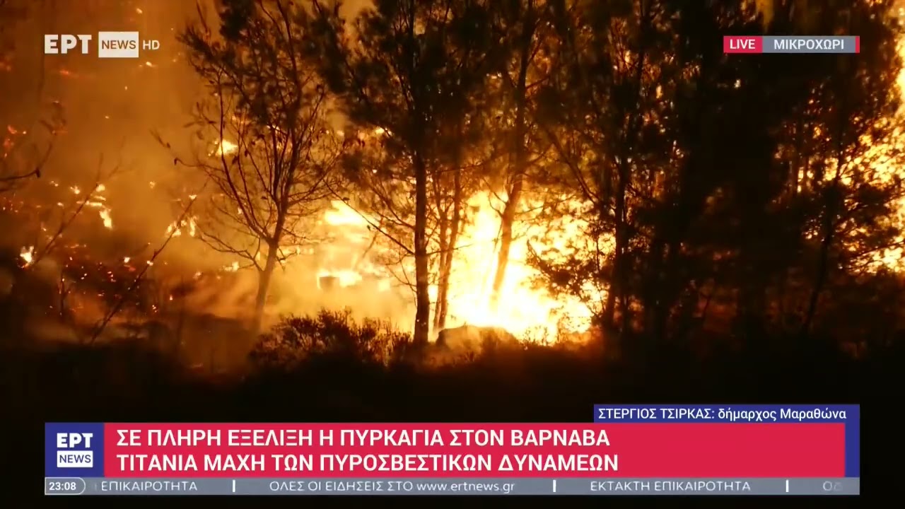 Δήμαρχος Μαραθώνα για τη φωτιά: Είναι μια βιβλική καταστροφή | 11/8/2024 | ΕΡΤ