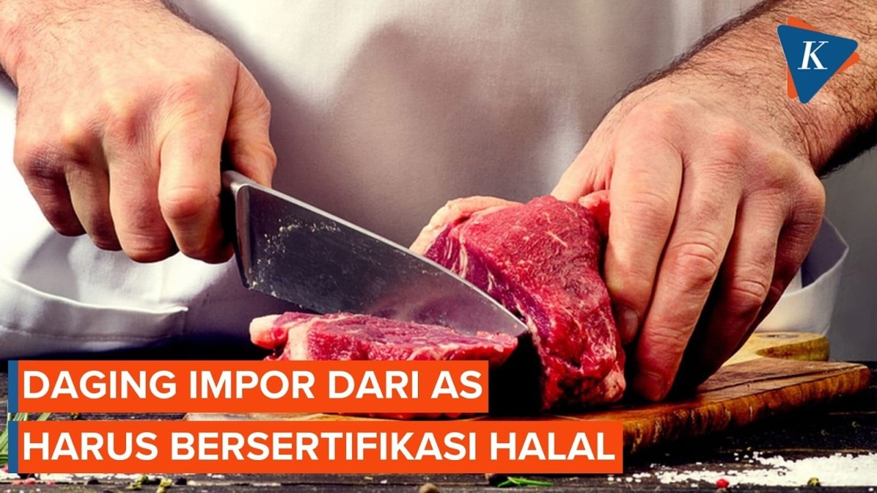Pemerintah Pastikan Daging Impor dari AS Harus Berlabel Halal Usai Kesepakatan Prabowo-Trump