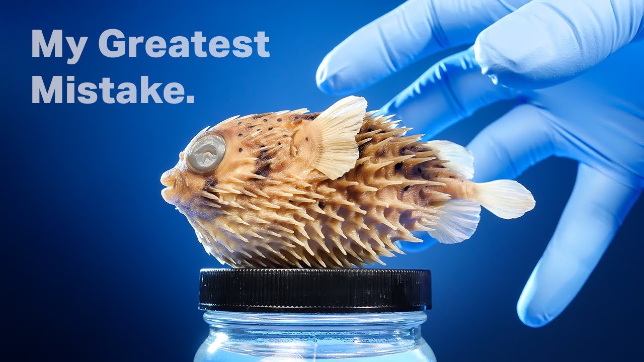 The Truth About My Pufferfish
