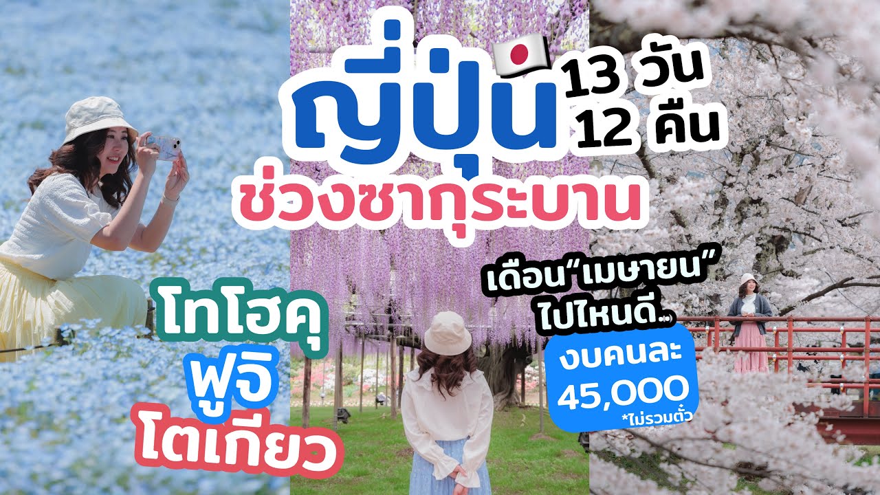 เที่ยวญี่ปุ่น ช่วงดอกซากุระบาน โซนโทโฮคุ โตเกียว ภูเขาไฟฟูจิ  แนะนำที่เที่ยว ที่พักทำเลดี ร้านอร่อย