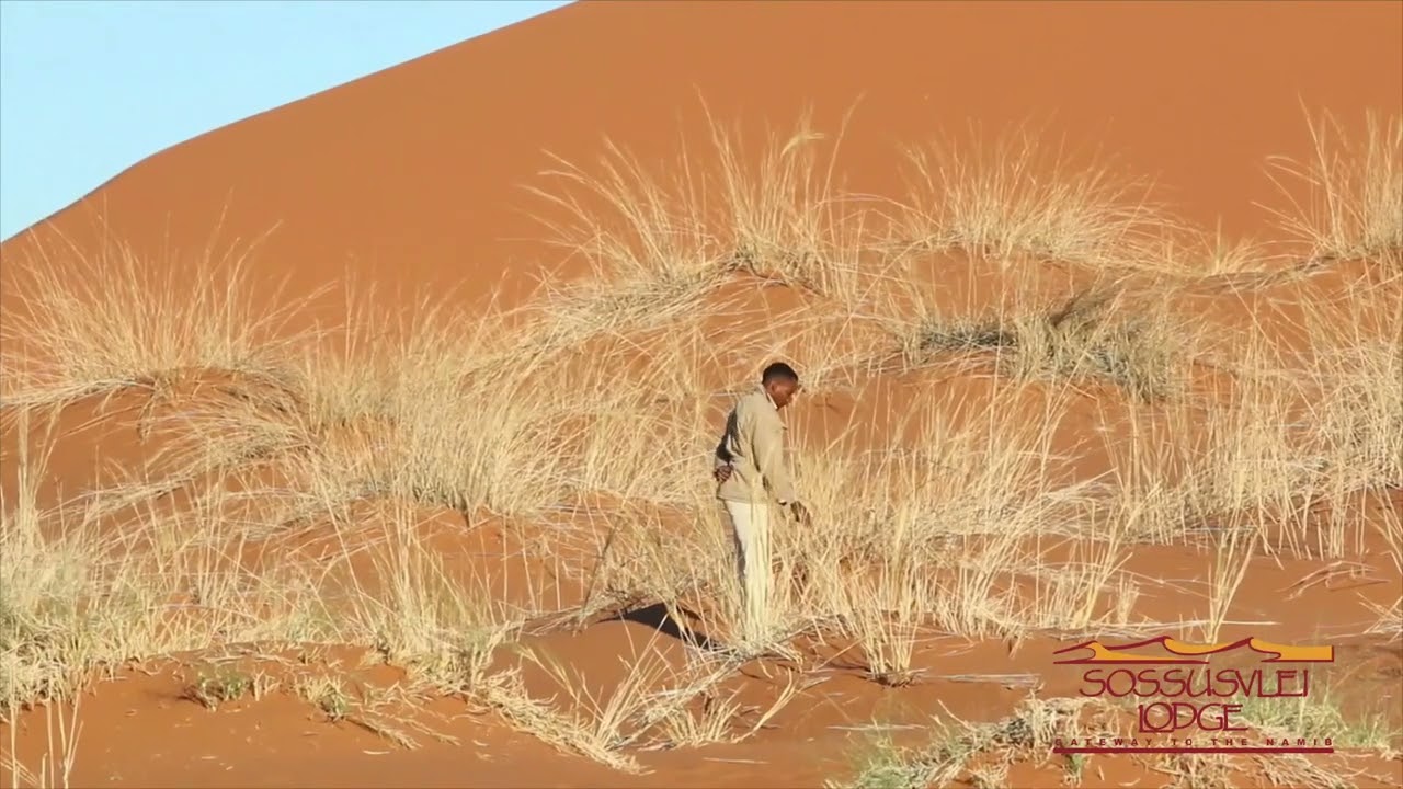 Sossusvlei Lodge, Namibia | Activities: Elim Dune Walk