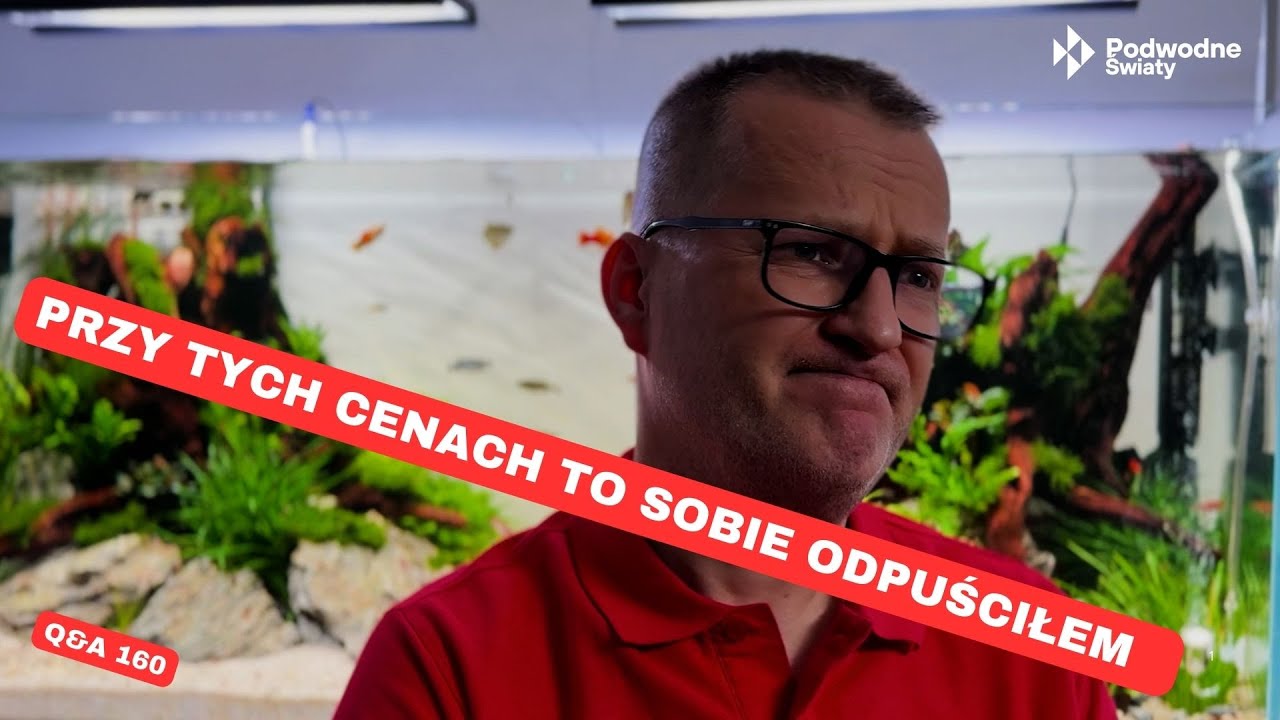 Q&A160. Przy tych cenach to sobie odpuściłem