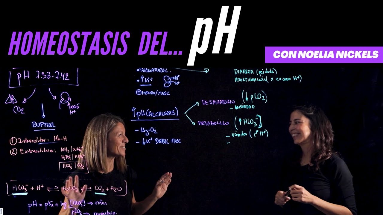 Mecanismos homeostáticos de regulación del pH en el organismo