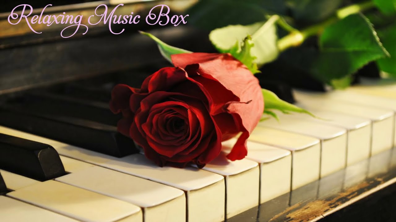 Canon in C (Variations on the Canon) - 1 Hour Relaxing Soft Piano Music