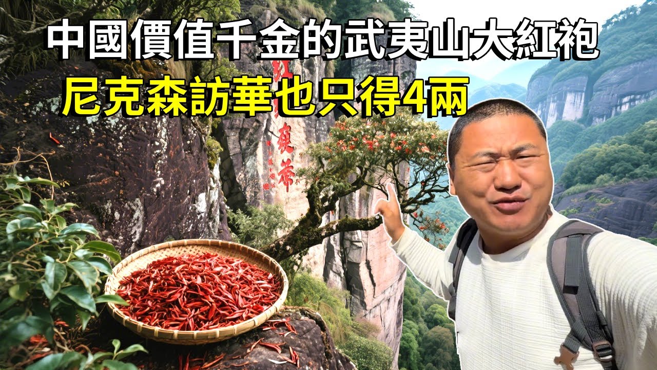 中國價值千金的武夷山大紅袍！懸崖上300年的大紅袍母樹，武警站崗保護，尼克森訪華也只得4兩【大海去旅行】