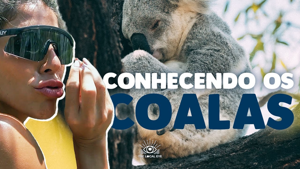 Conhecendo os Coalas em Magnetic Island  |  The Local Eye Show - Costa Leste da Austrália EP04
