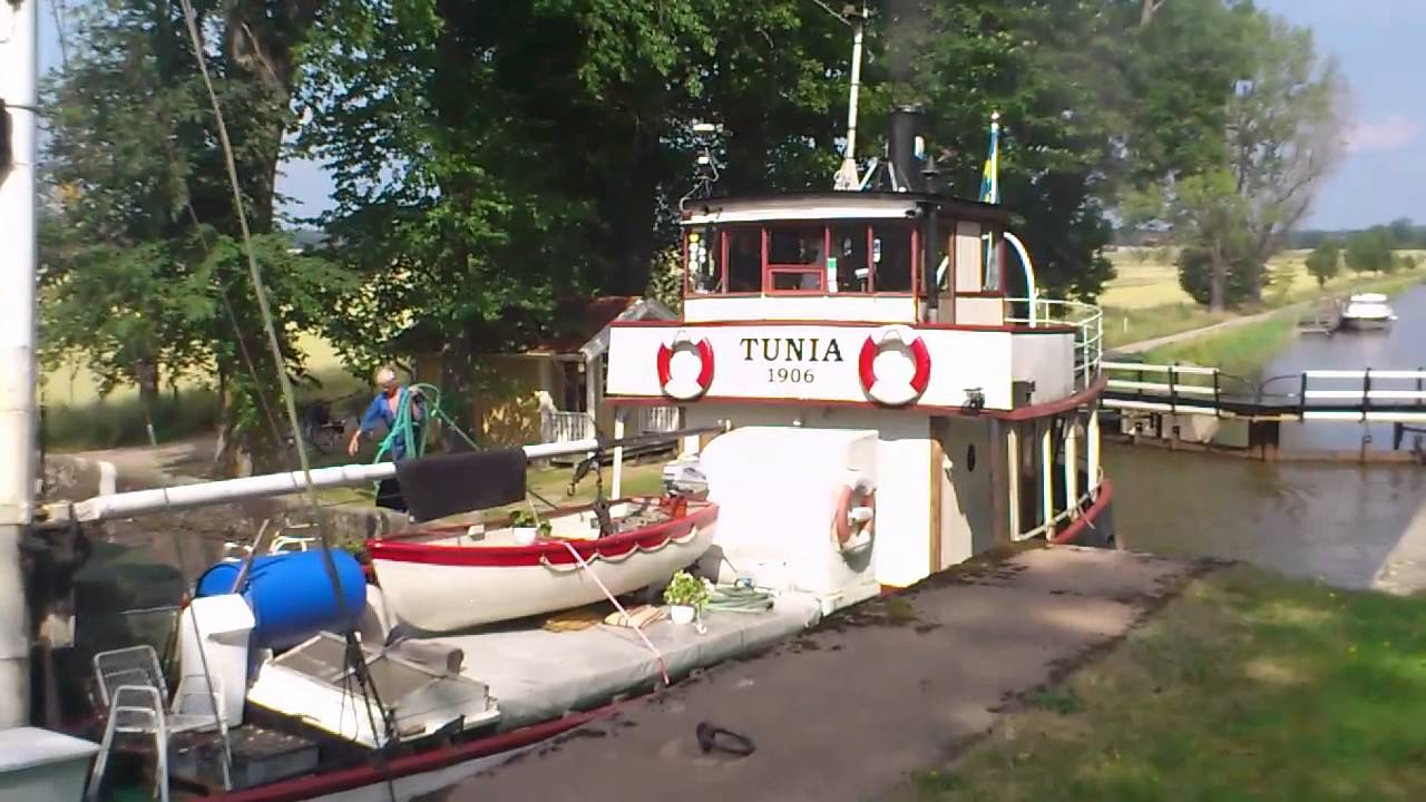 Tunia i Godhögen 27 juli 2014