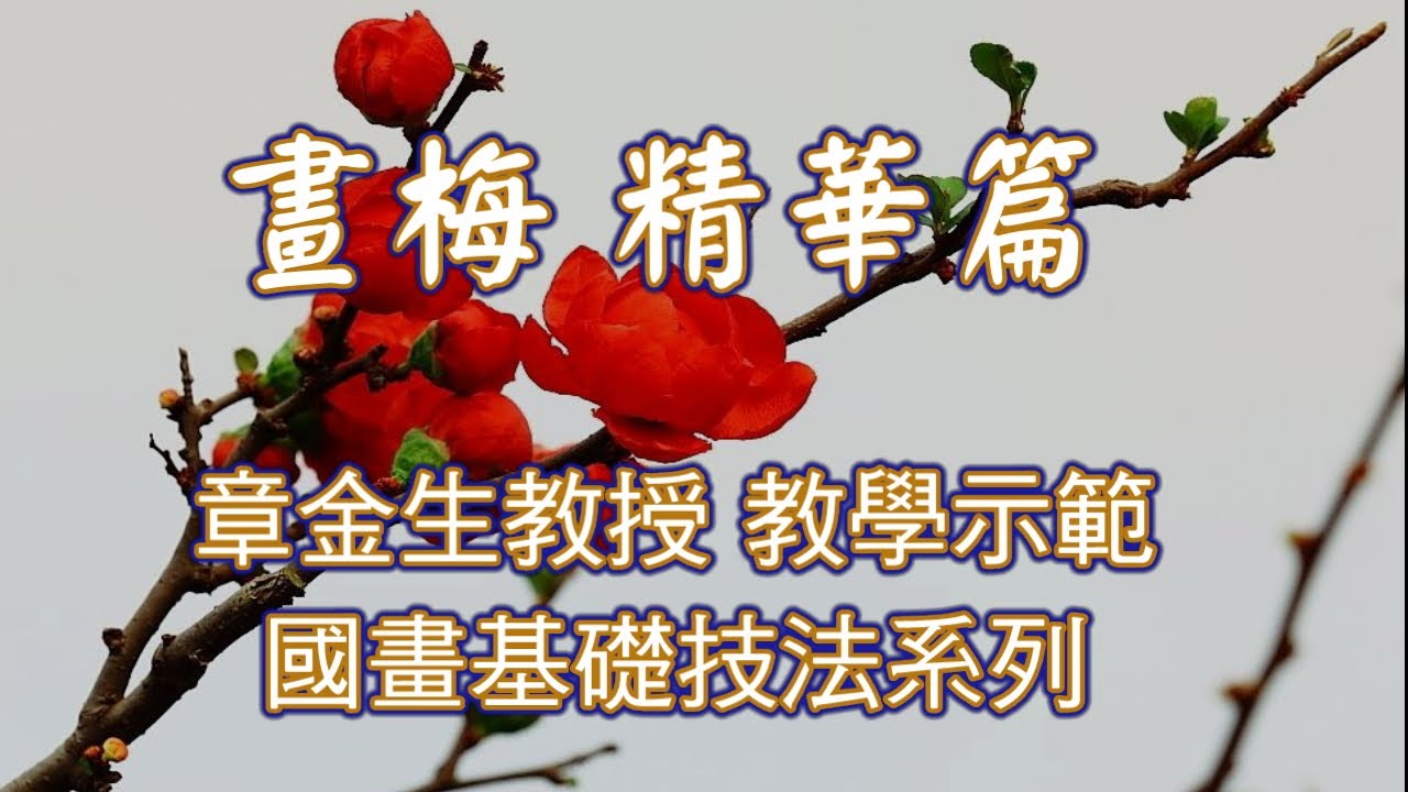 畫梅精華篇, 章金生教授 國畫基礎教學示範. Chinese Painting plum blossom.