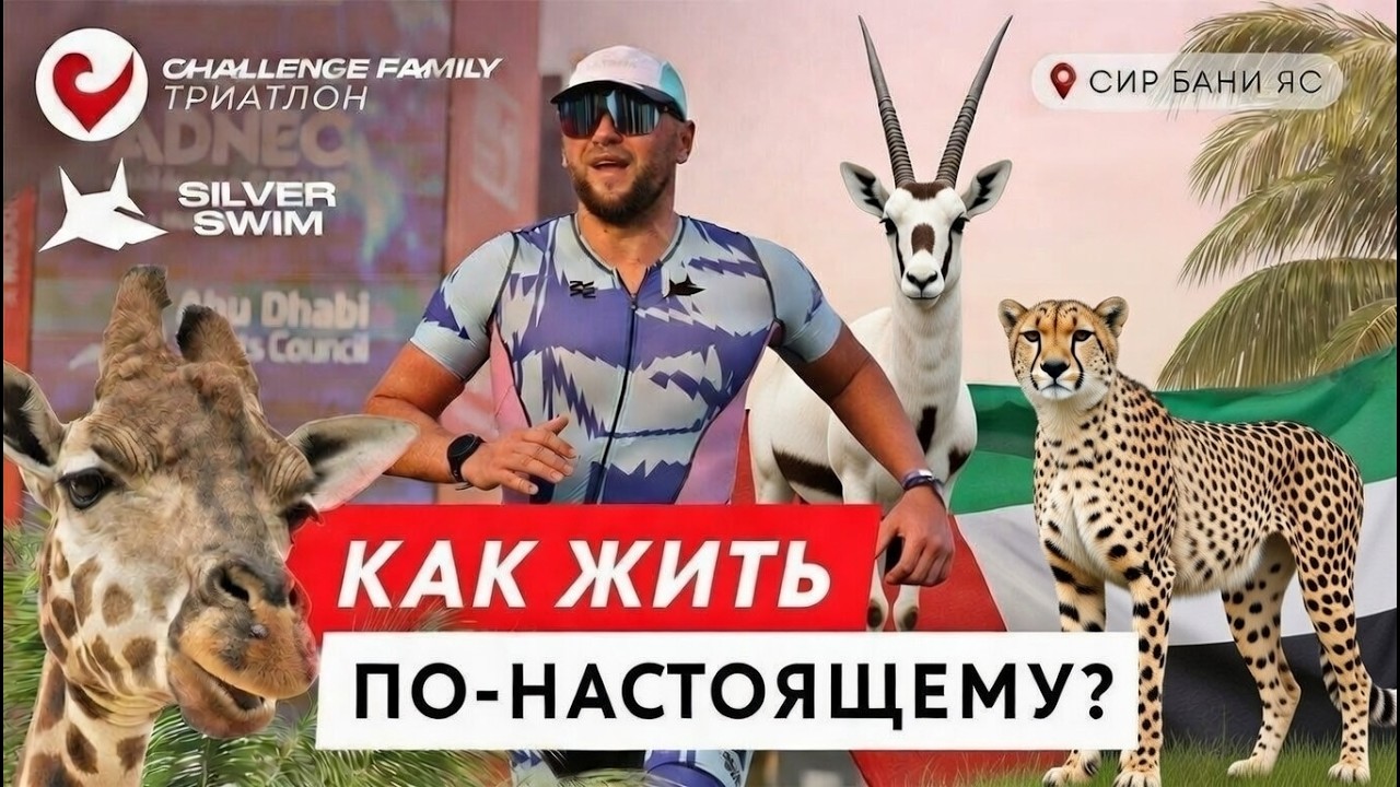 Абу Даби Sir Bani Yas триатлон Челленж  как правильно отдыхать?