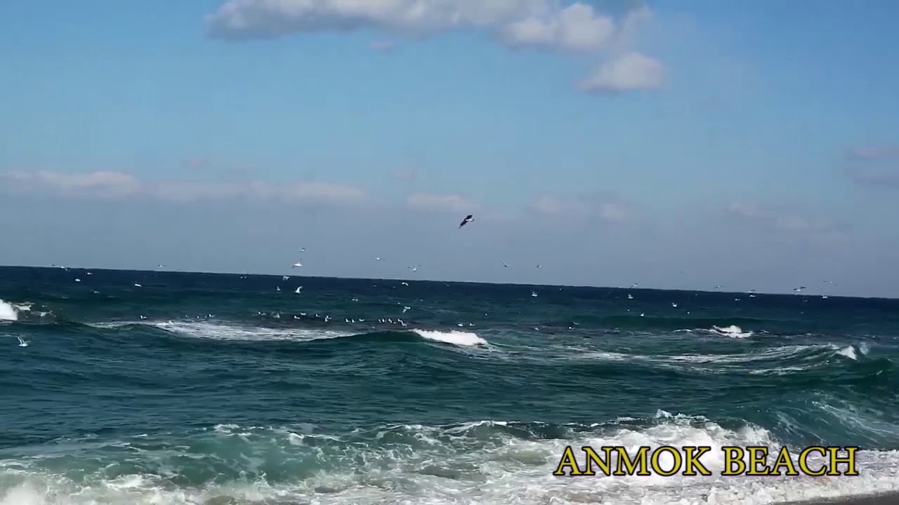 GANGNEUNG TOUR