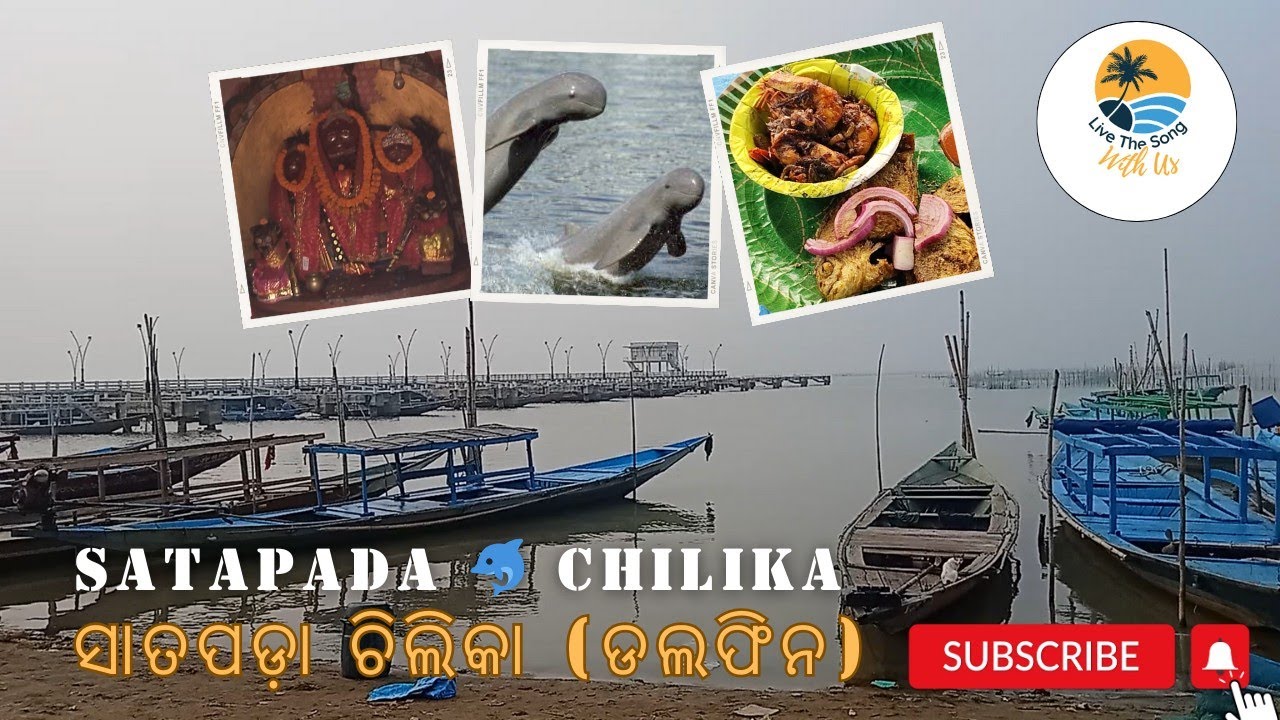 Satapada (ଆସ ବୁଲିଯିବା ସାତପଡ଼ା, ଚିଲିକା) Chilika, Puri | Dolphin | Islands | Odisha Travel Vlogs