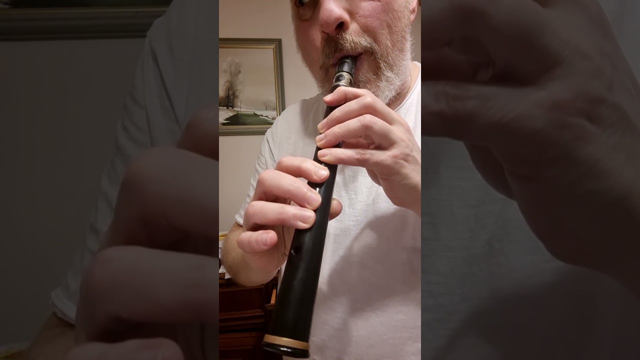 classik Xaphoon in C Stimme для начинающих онлайн курс для взрослых 2026