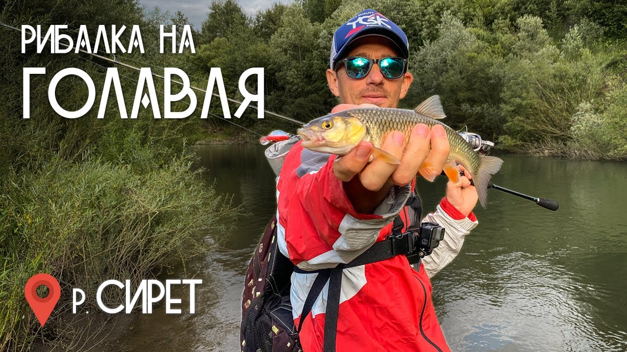 Рибалка на голавля. З ультралайтом на річці Сирет