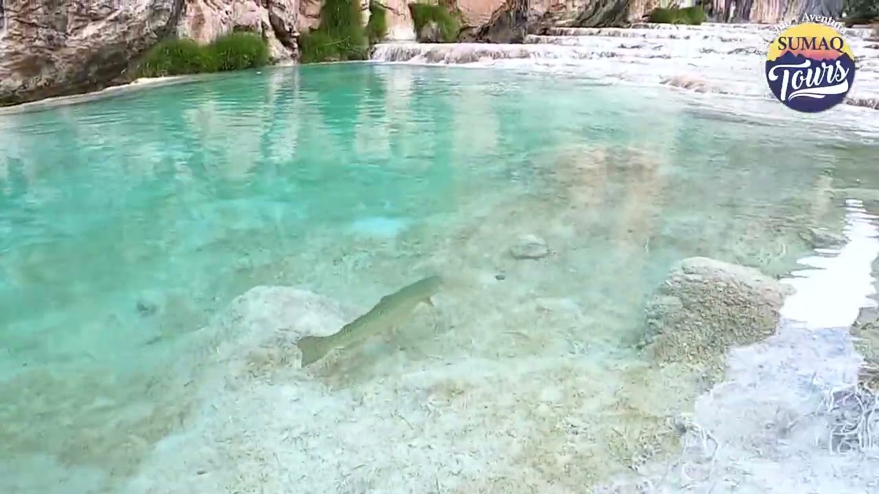 Aguas Turquesas - Millpu