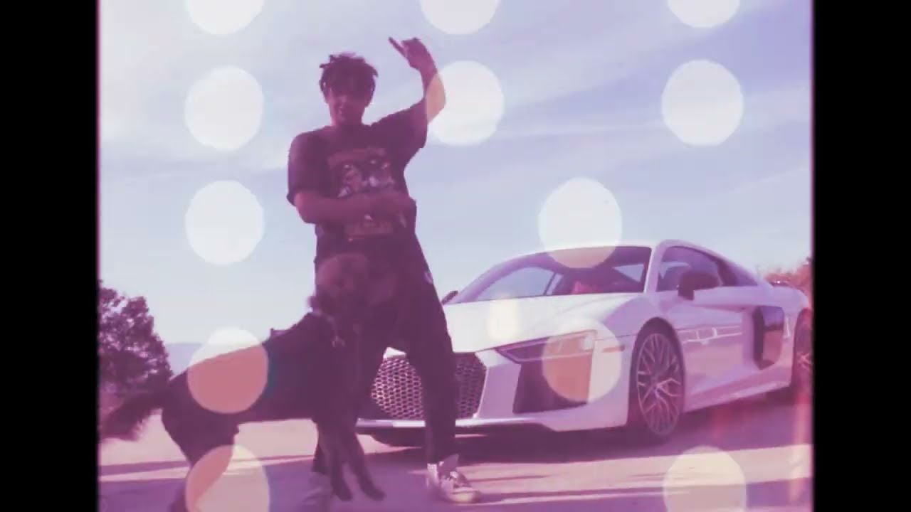 i want audis @XLYTURBO