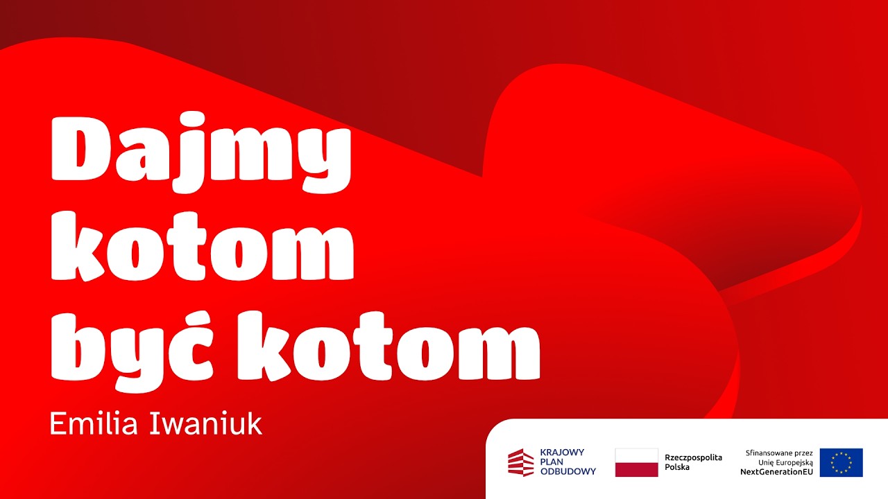 Dajmy kotom być kotom – Emilia Iwaniuk