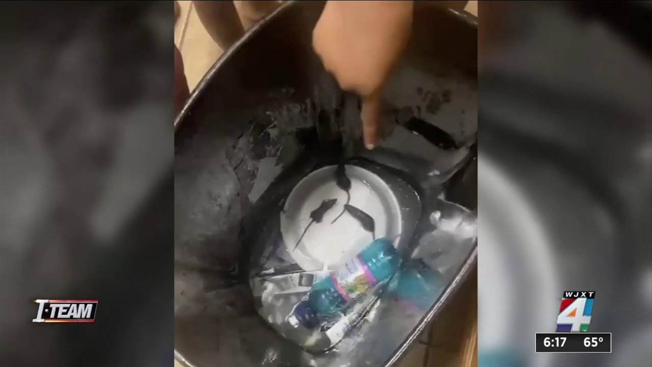 Inspection reports explain violations and infestations at Hilltop Village Apartments