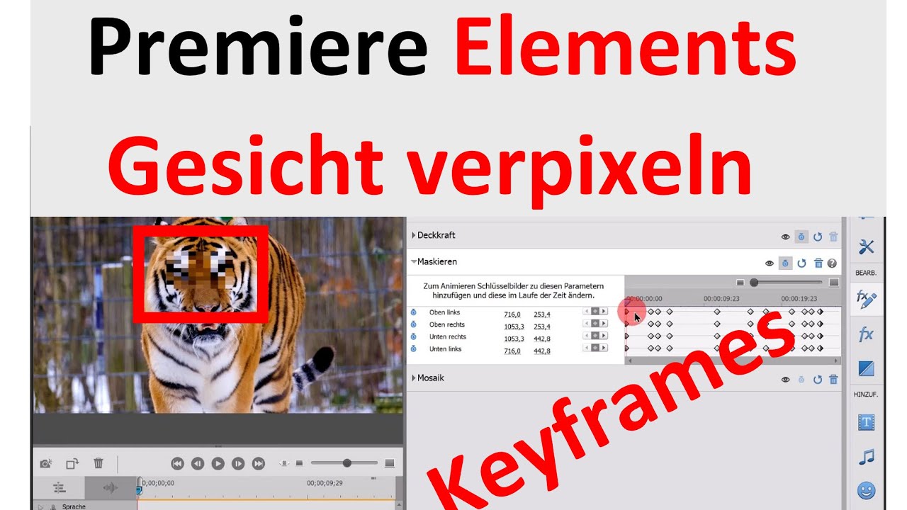 Gesicht verpixeln mit Adobe Premiere Elements / Eine Effektmaske f&uuml;r beliebige Effekte anwenden