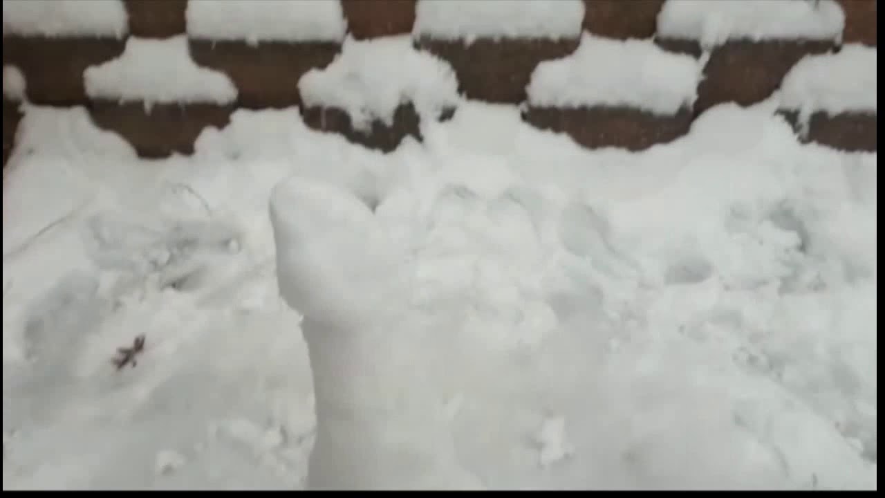 Russian Flamethrower vs Snow