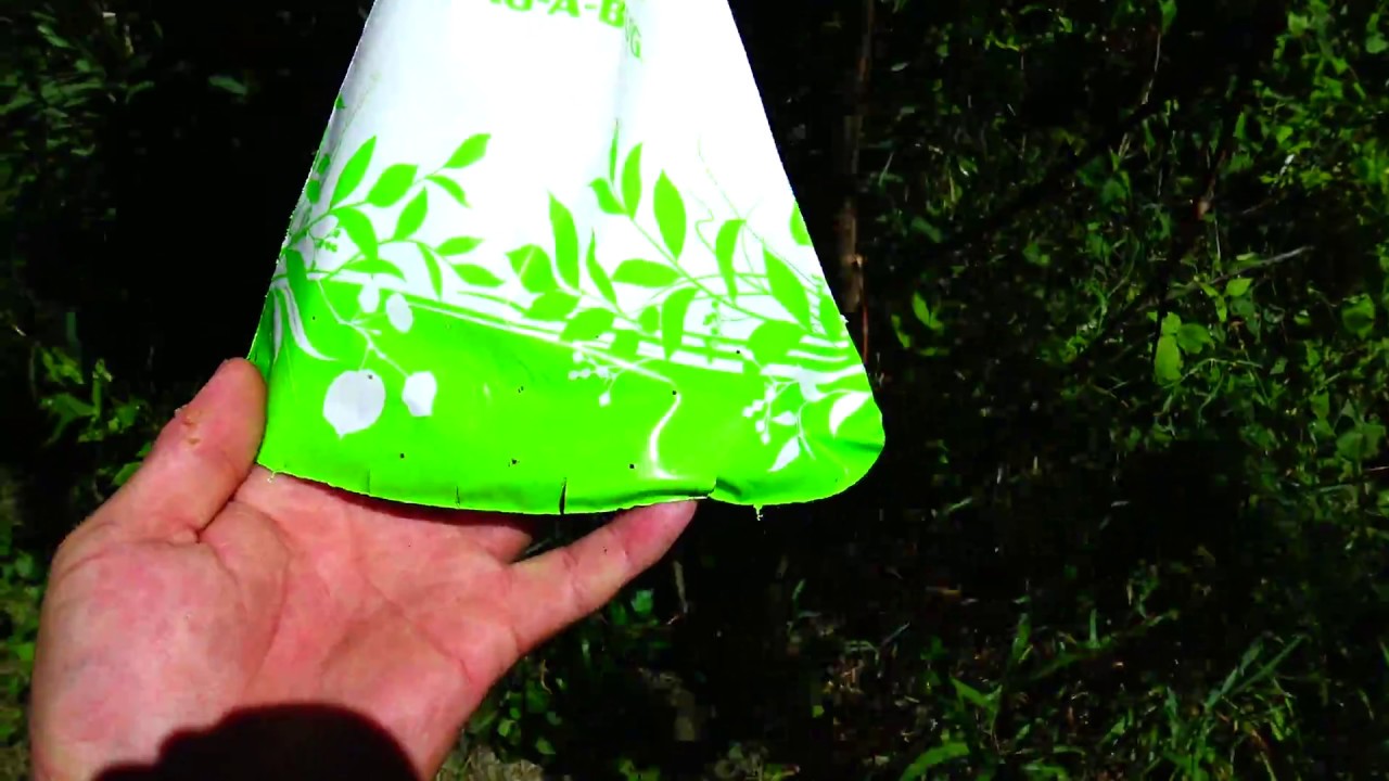Japanese Beetle Lure Traps