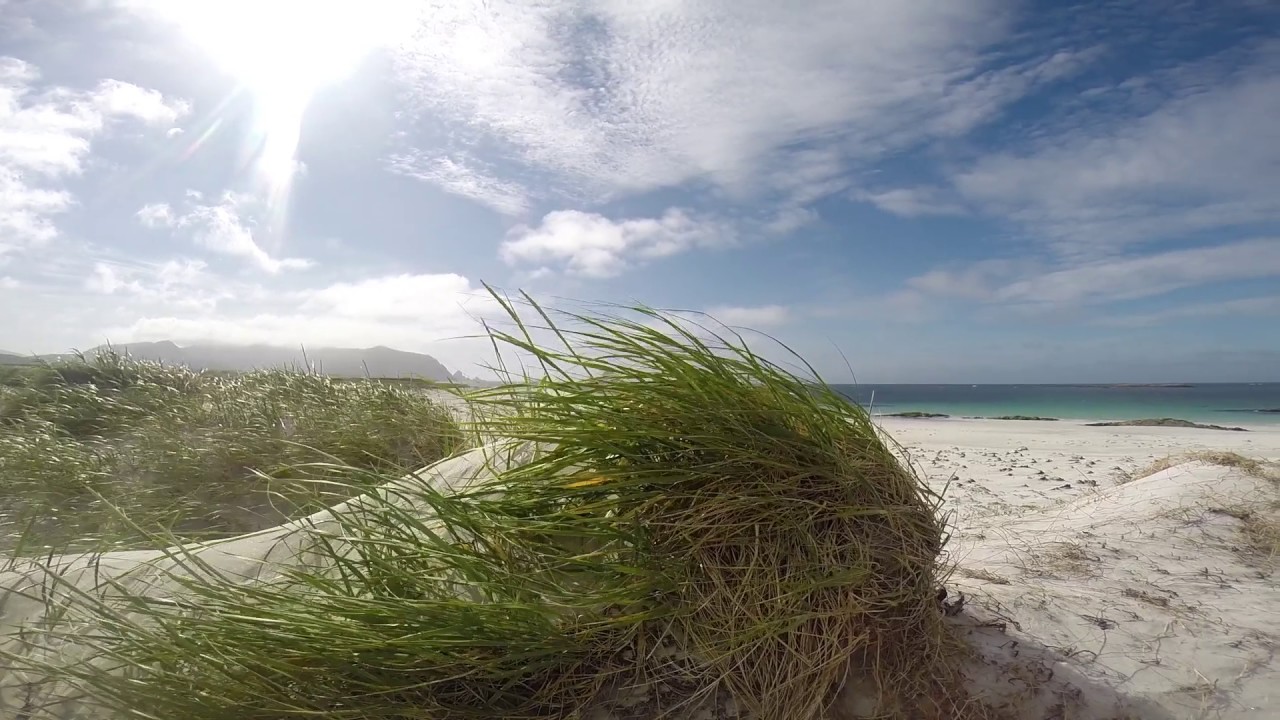 Bleik - Andøy - Nordland 2015