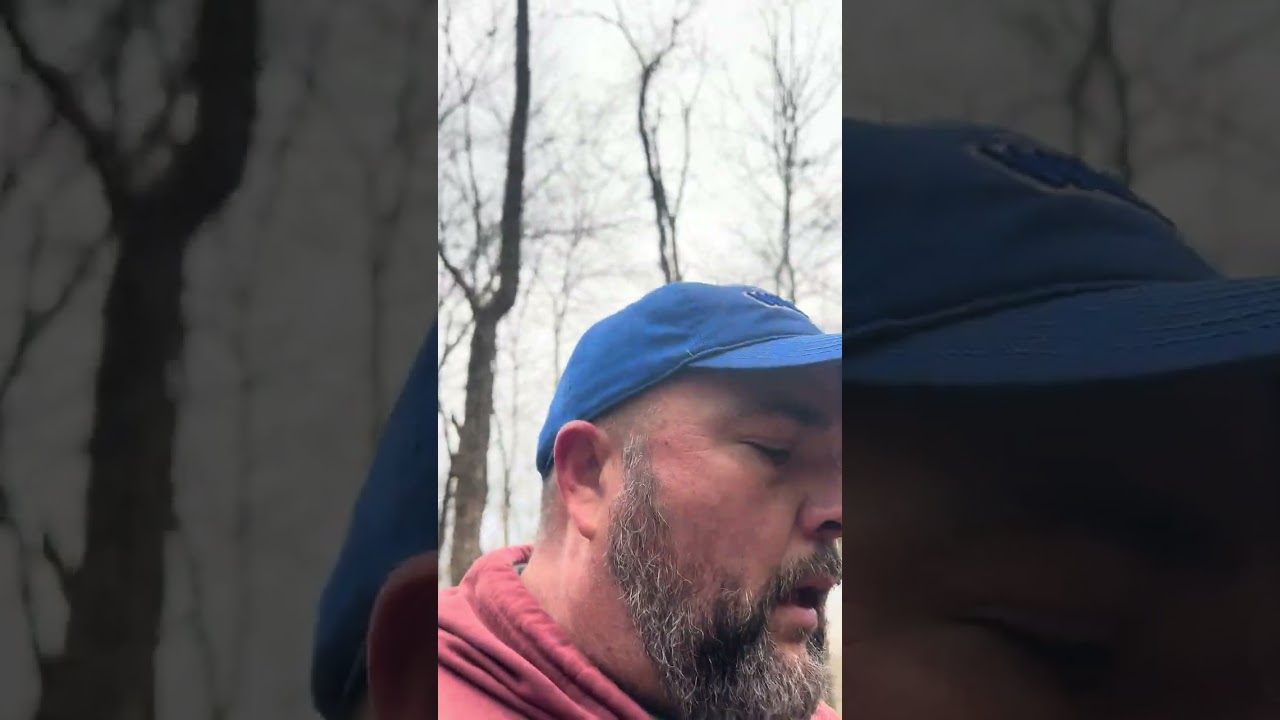 Update from SawBriar Ridge farm