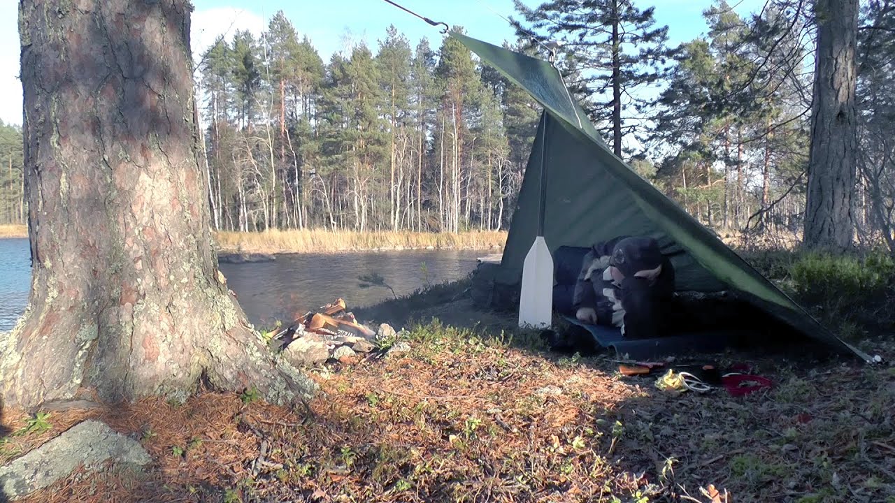 Kallavesi jäässä