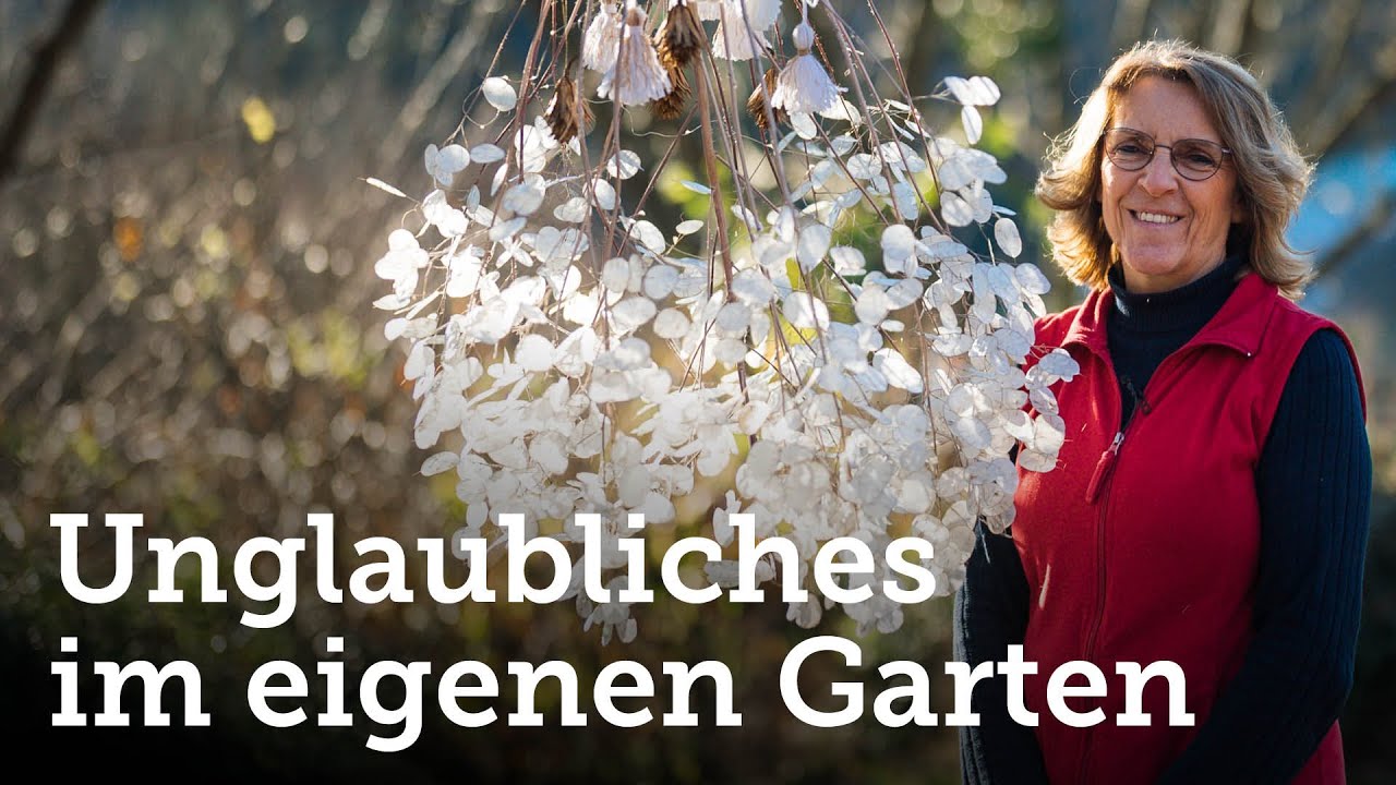 Ein Kronleuchter wächst in unserem Garten! 😱🤩