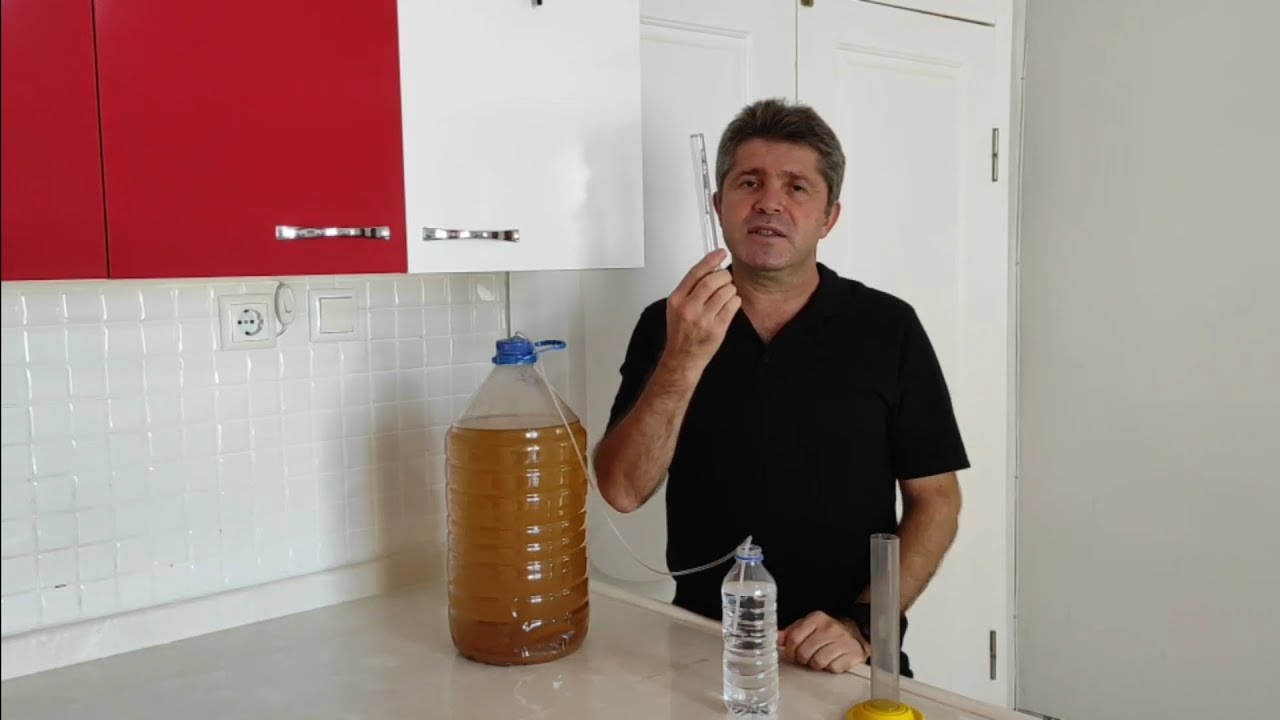Adım Adım Evde Şarap Yapımı