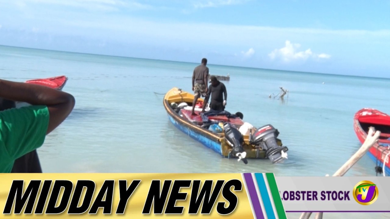 Agriculture Ministry: We Have a Healthy Lobster Stock | Midday News