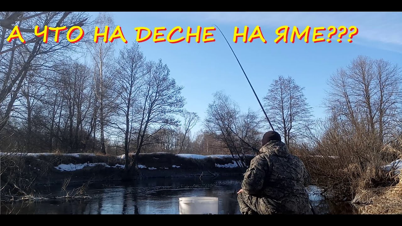 А что клюет на Десне на яме???