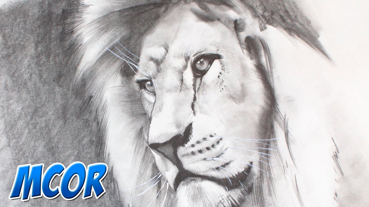 Como Dibujar un León Realista