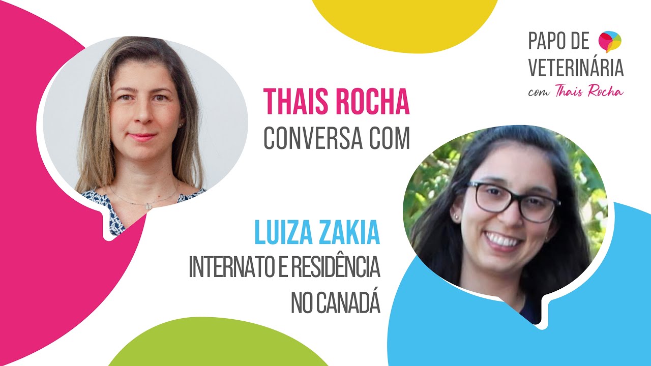 Como é o processo seletivo para Internato e Residência em Veterinária no Canadá, com Luiza Zakia