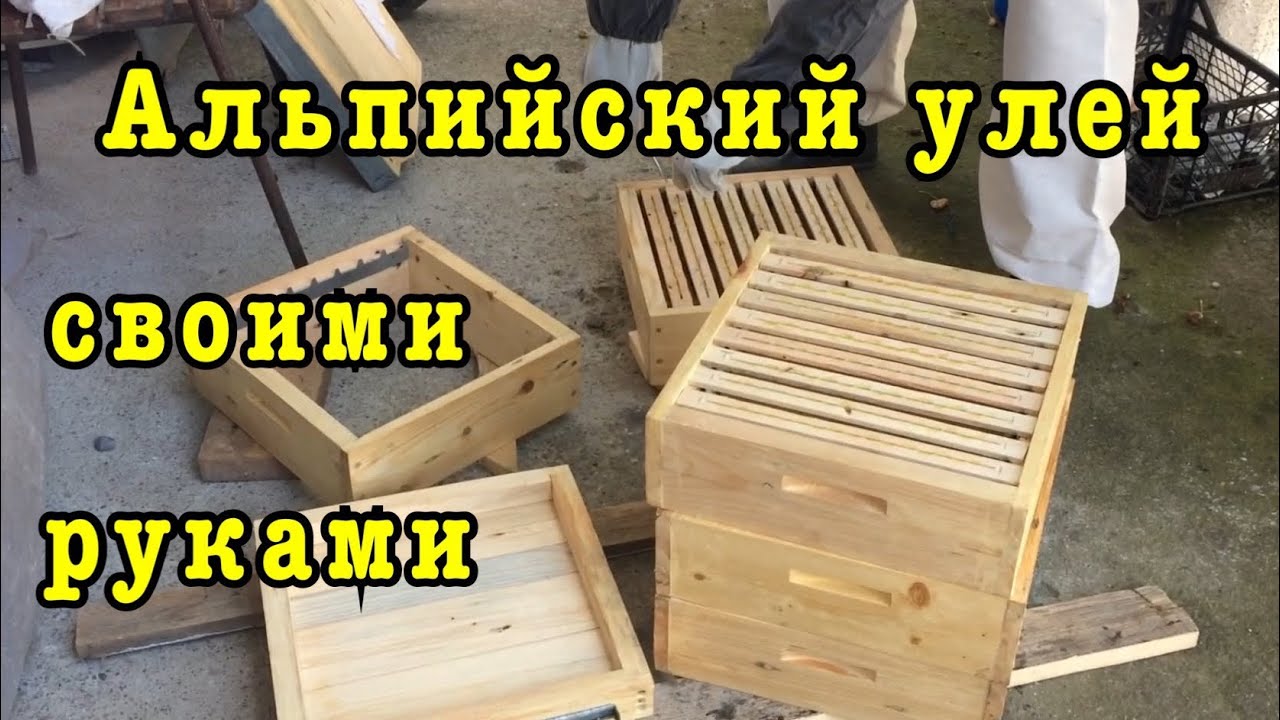 Изготовление альпийского улья / Поймали рой пчёл/ переселяем с ловушки в альпийский улей