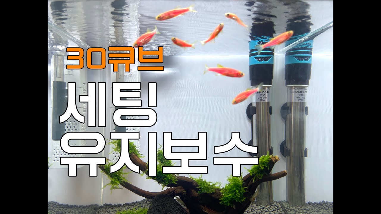 (ENG CC)초심자를 위한 30큐브 어항 세팅과 유지 보수 용품 정리 영상