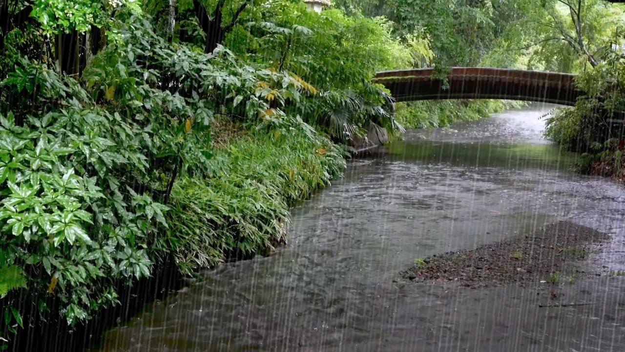 Чистая речная вода и освежающий дождь. Волшебные звуки дождя сразу же усыпят вас.