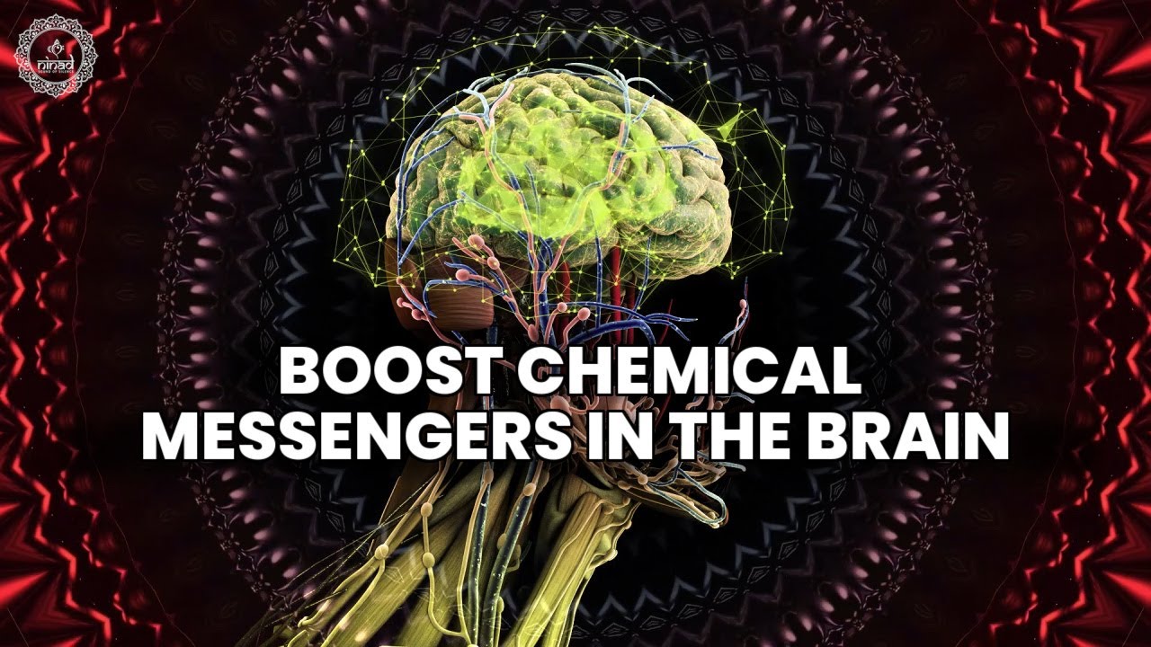 Boost Chemical Messengers In The Brain | Increase Serotonin Dopamine Oxytocin & Endorphins Naturally