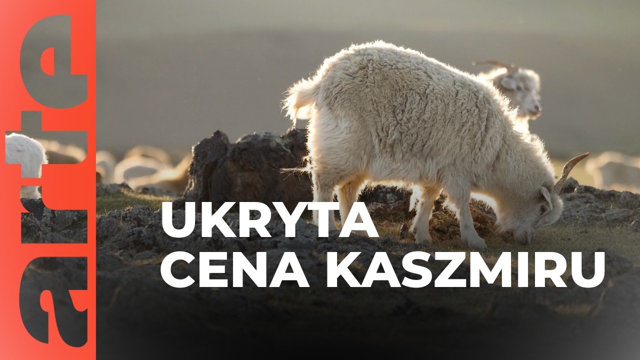 Ciemna strona kaszmiru | ARTE.tv Dokumenty