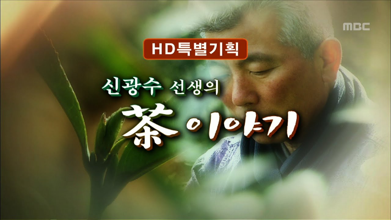 [특집다큐] 신광수 선생의 차(茶) 이야기 #1 (순천 야생죽로차밭)