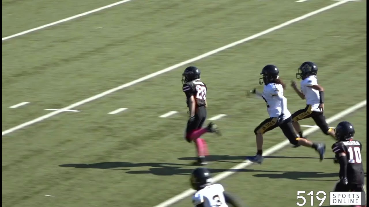 OFFL Football (Under 14) - Hamilton Jr. Tiger Cats vs Brantford Bisons