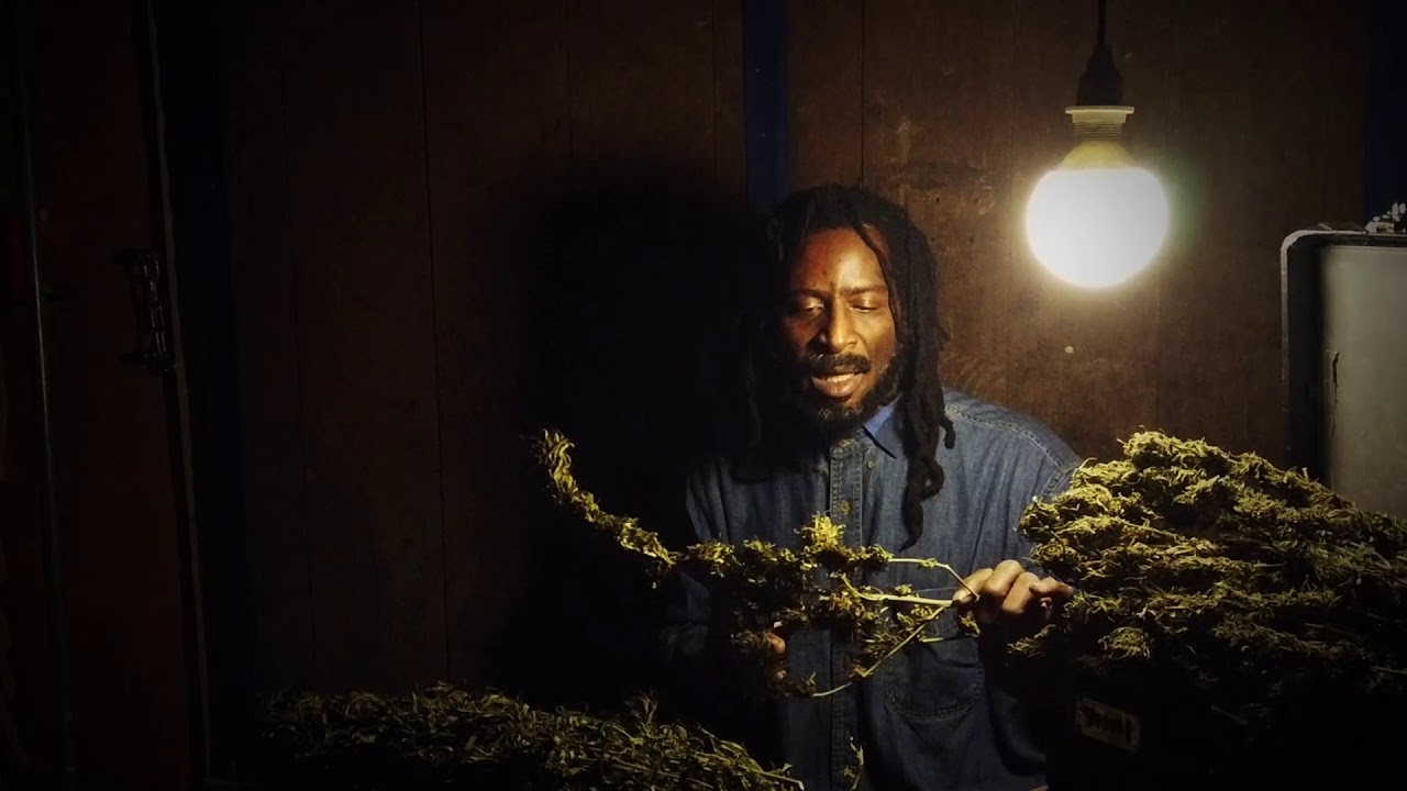 NAZAMBA - MEDICATION TREE