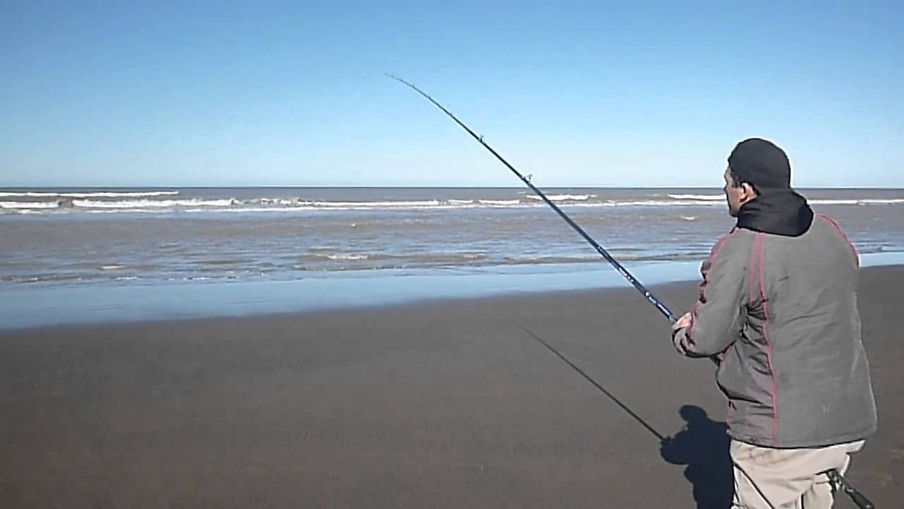 Pesca de Panzones y Escardones en el Tamarisco de Gabilondo La Baliza Patagones