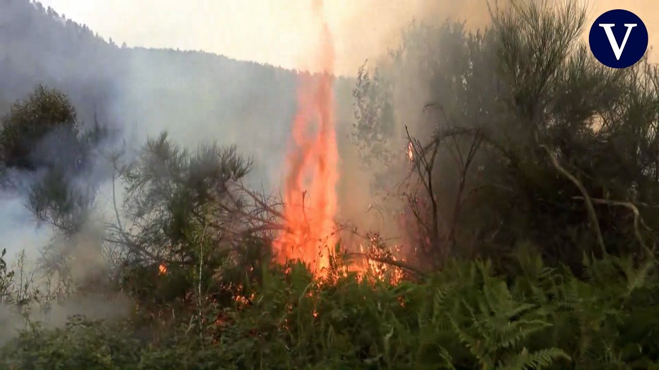 El viento complica los fuegos en Galicia