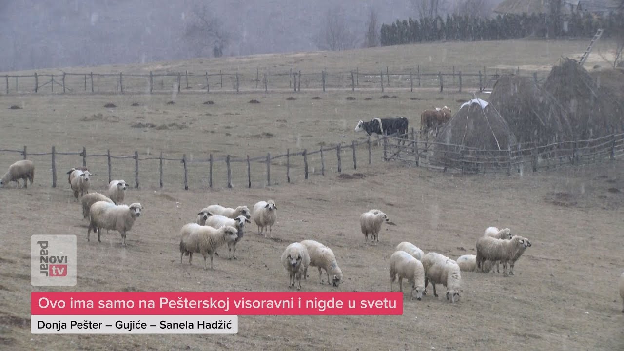 Ovo ima samo na Pešterskoj visoravni i nigde u svetu