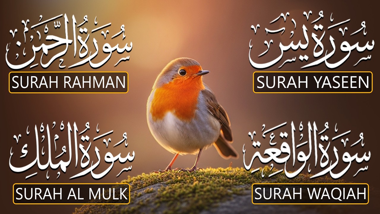 Relax Your Mind Through Quran Tilawat That Soothes Hearts | Surah Yasin  Ar-Rahman Al-Waqiah Al-Mulk