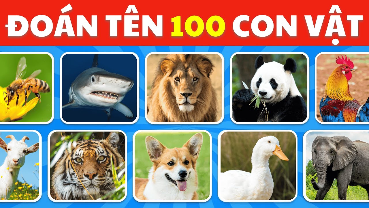 Đoán Tên 100 Con Vật Trong 5 Giây - Chỉ 5% Người Có Bộ Óc Thiên Tài Mới Trả Lời Đúng Hết