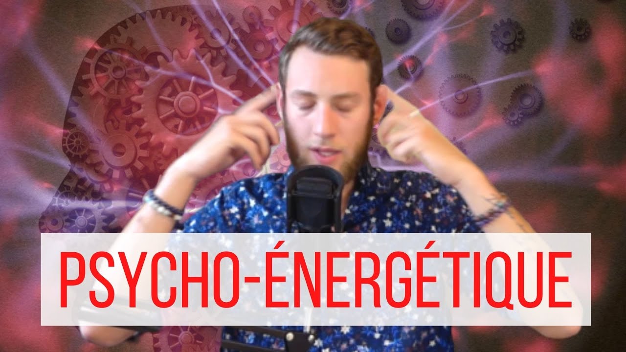 LES MAUX DU CORPS SONT-ILS DES MESSAGES DE L'ÂME ? (Éléments de psycho-énergétique)