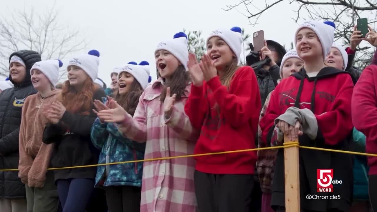 The story behind Boston's holiday tradition with Nova Scotia