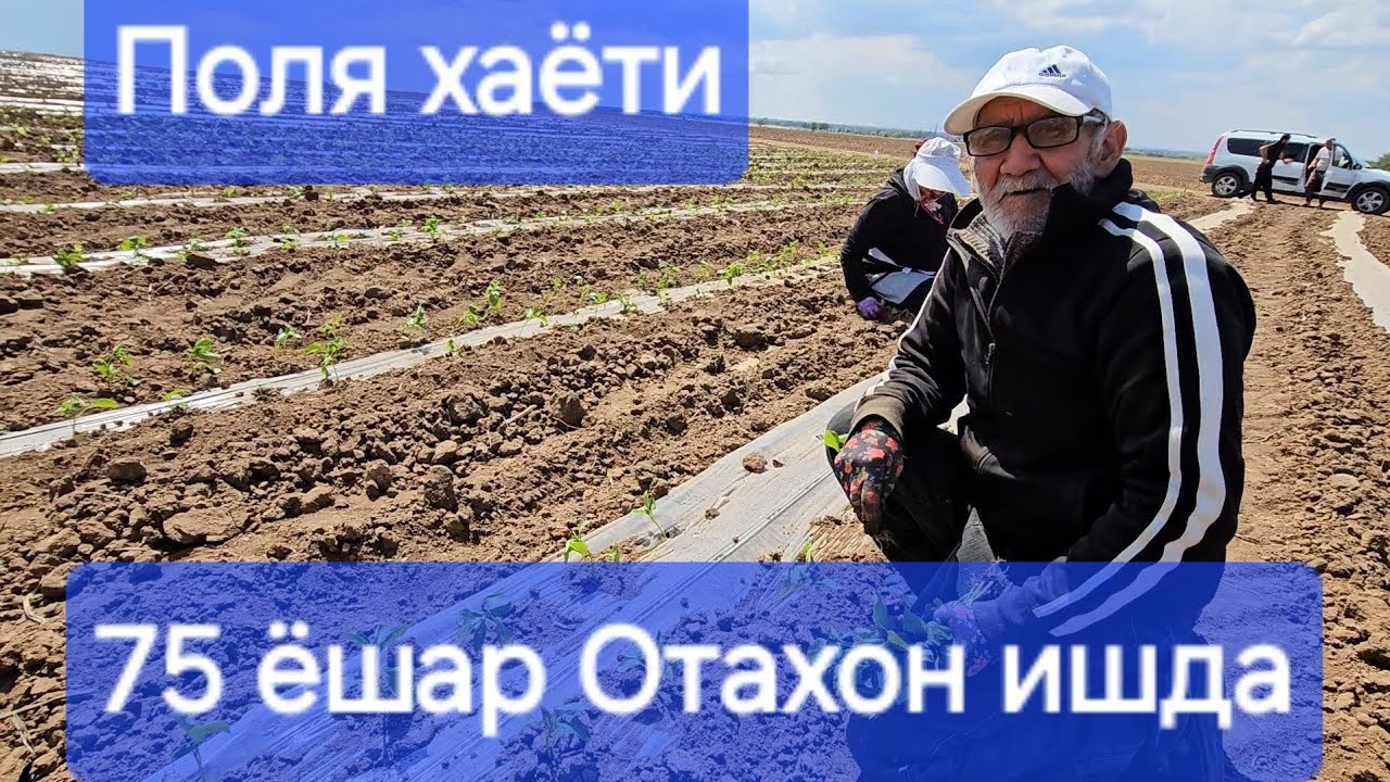 Волгоград Поляда 75 ёшар Отахон ишдалар сог булсинлар..#xorazm #toshkent #surxon #andijon  #tiktok